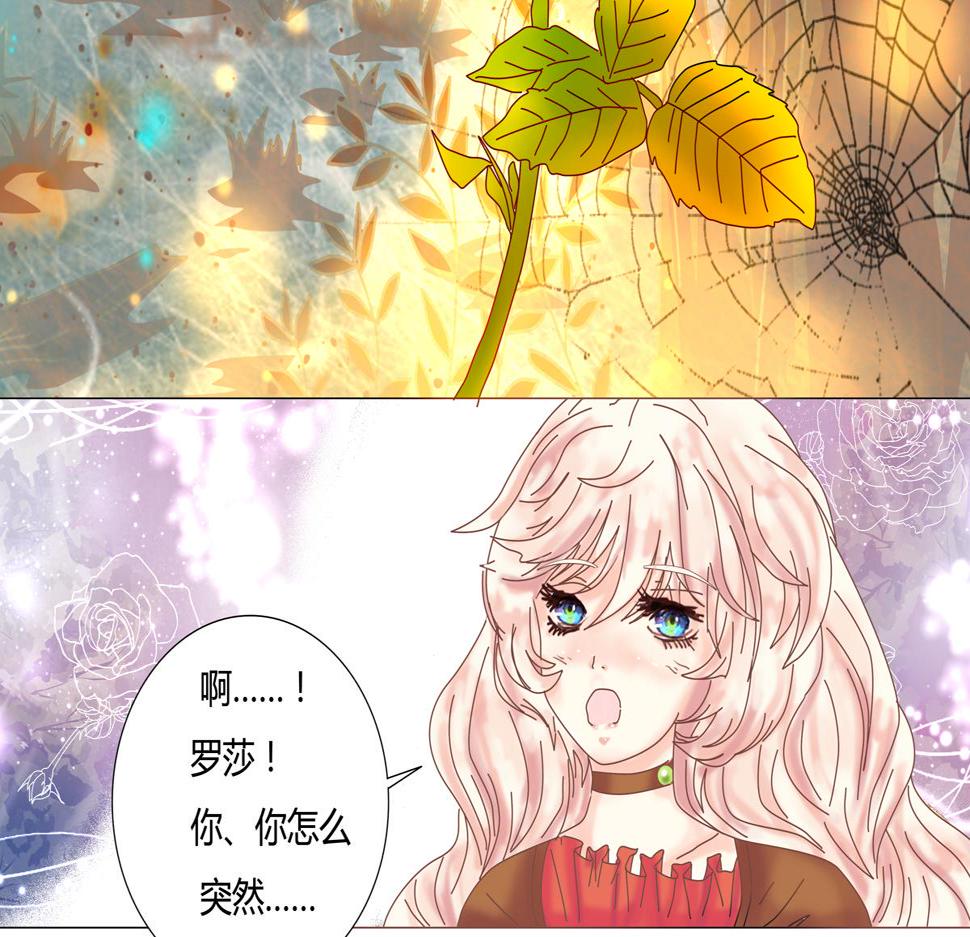 第四章 血蔷薇九7