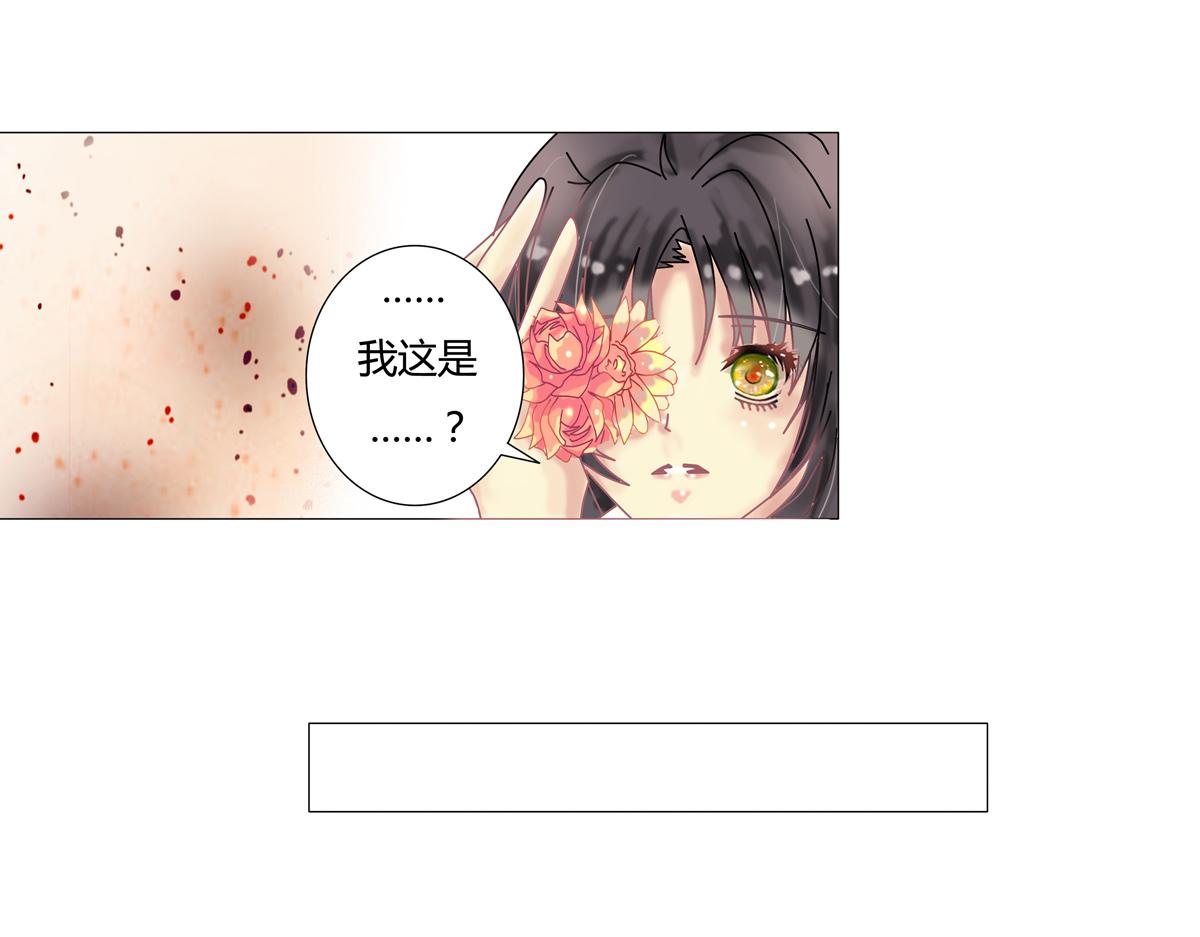 第四章 血蔷薇一19