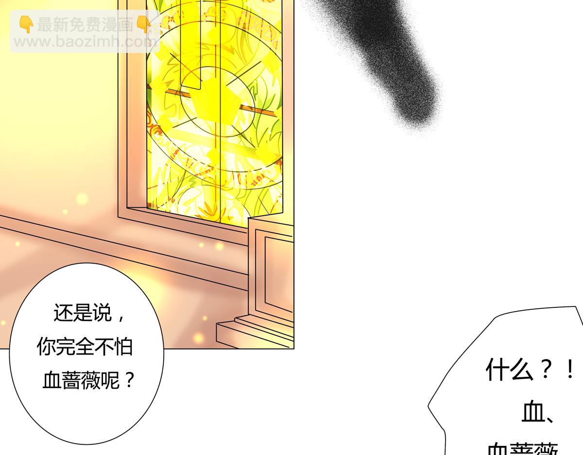第四章 血蔷薇十四8