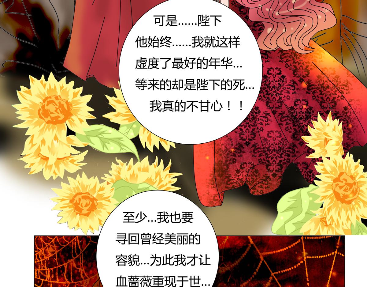 第四章 血蔷薇三24