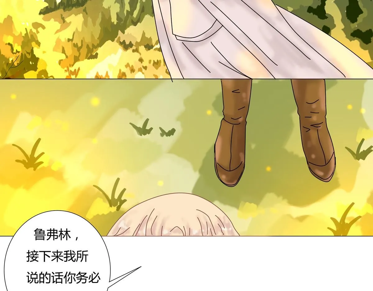 第六章 短暂的归来七11