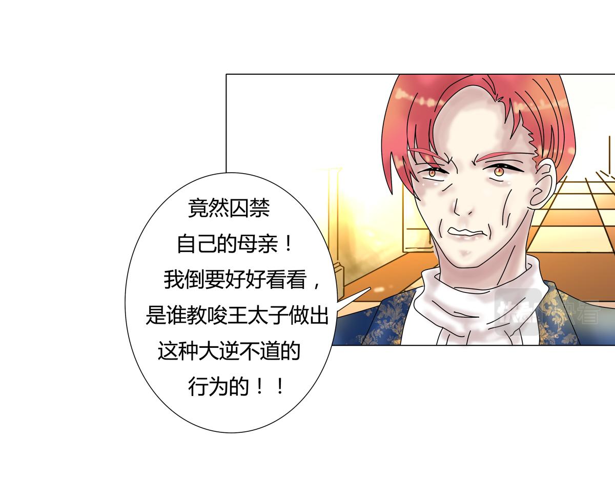 第四章 血蔷薇十二23