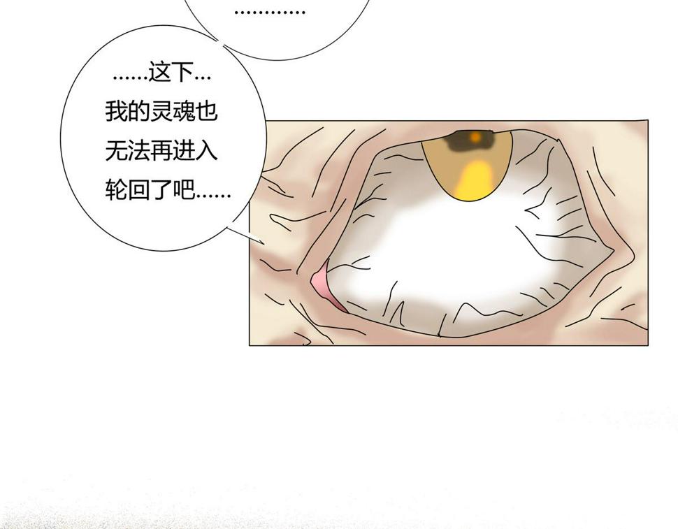 第六章 短暂的归来四12
