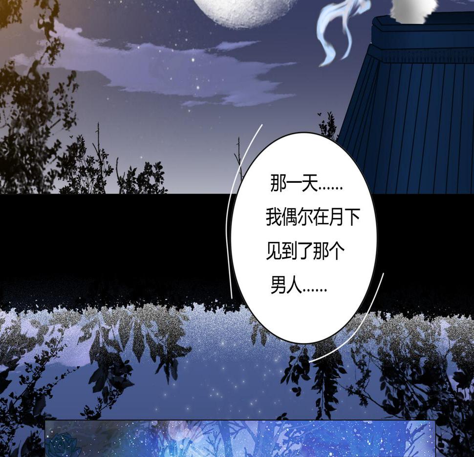 第六章 短暂的归来三12