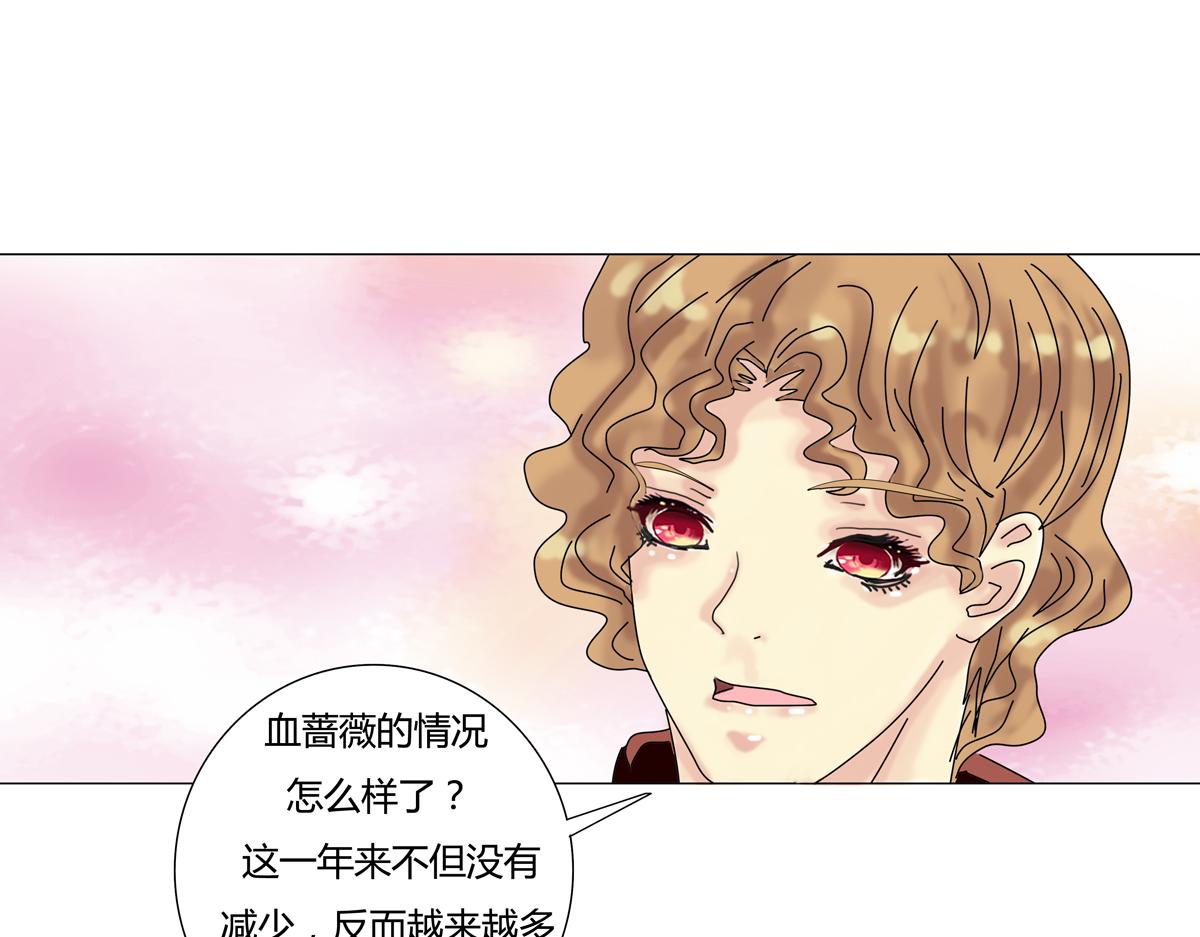 第四章 血蔷薇十16