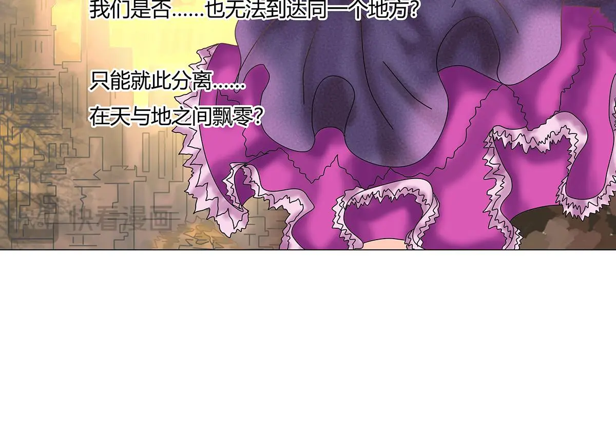 第八章 真实十一19
