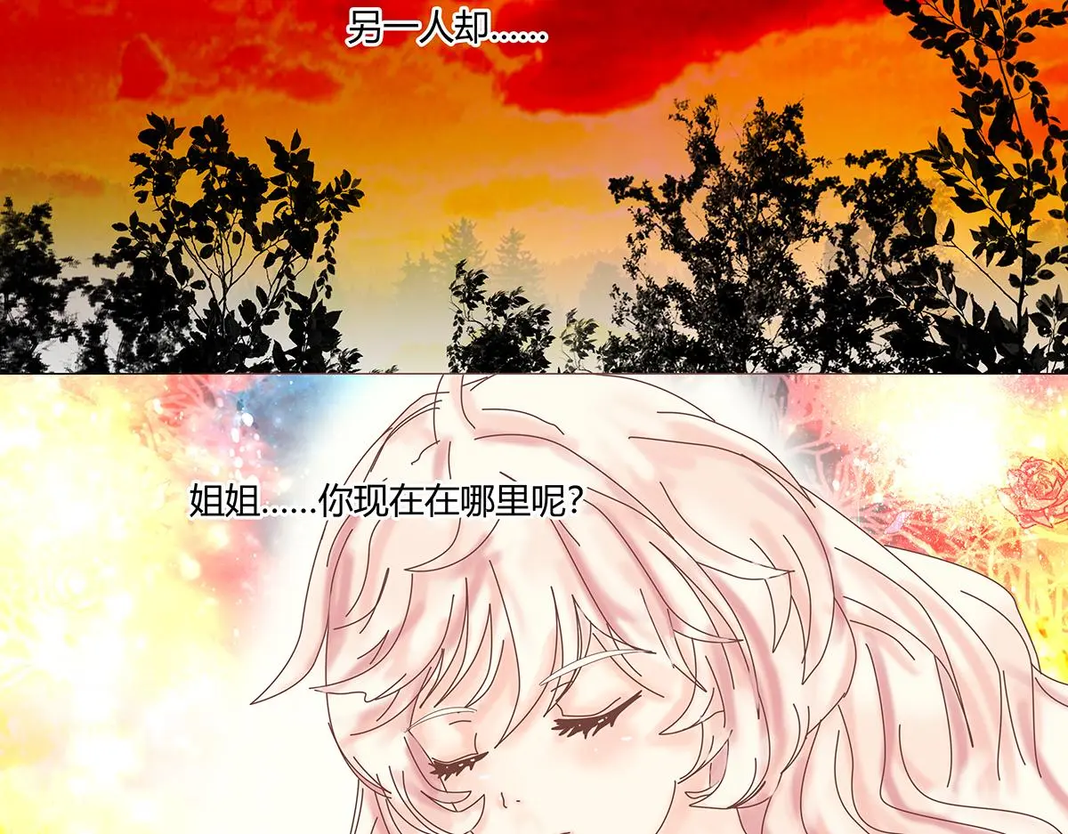 第八章 真实十一17