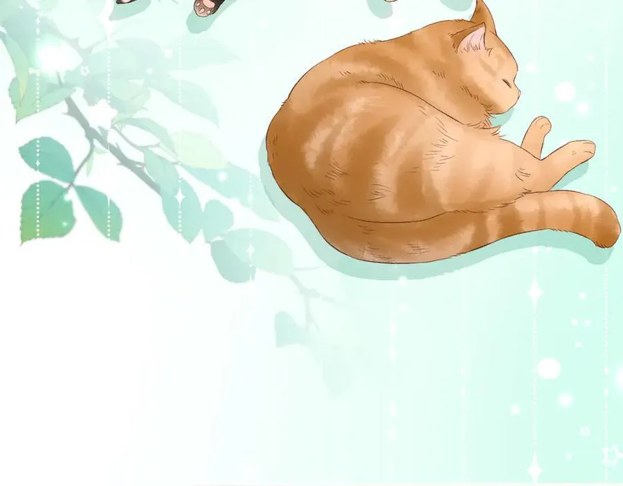 第69话 直播创作19