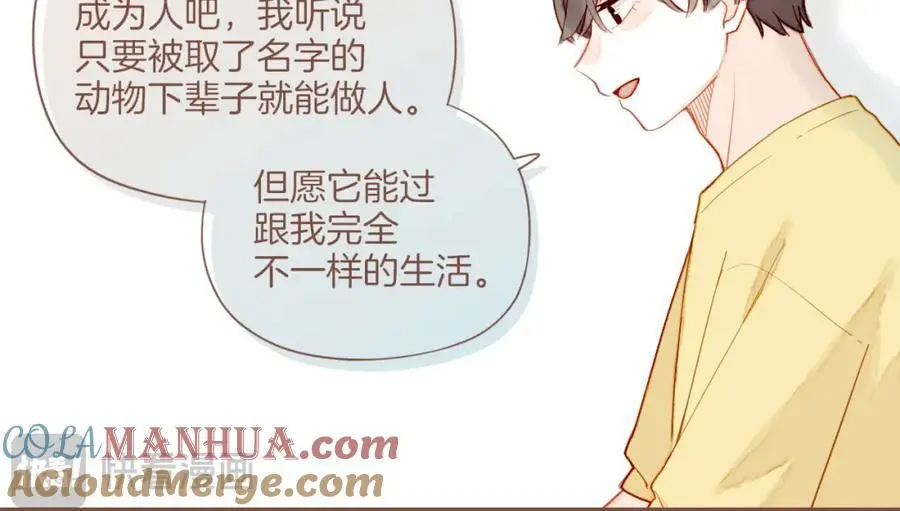 第34话 受伤的话，会很疼吧？（上）66