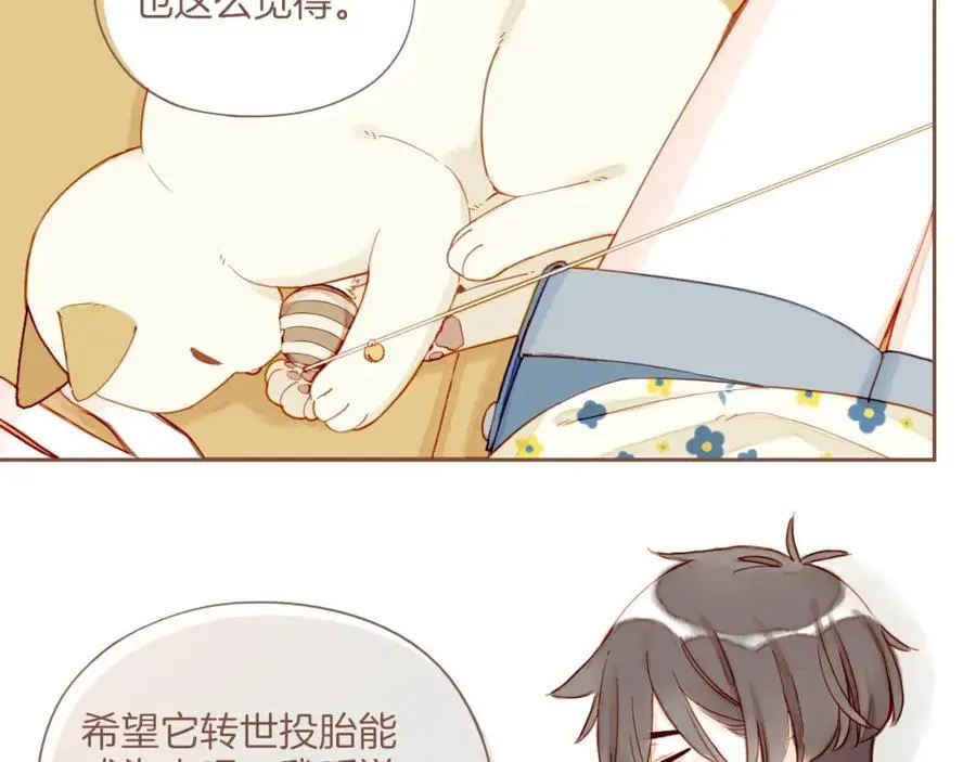 第34话 受伤的话，会很疼吧？（上）65