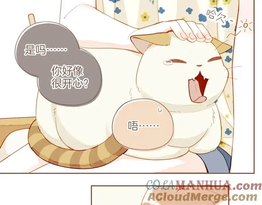 第34话 受伤的话，会很疼吧？（上）51
