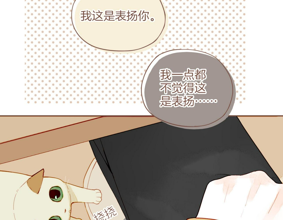 第13话 装在盒子里的是秘密（下）53