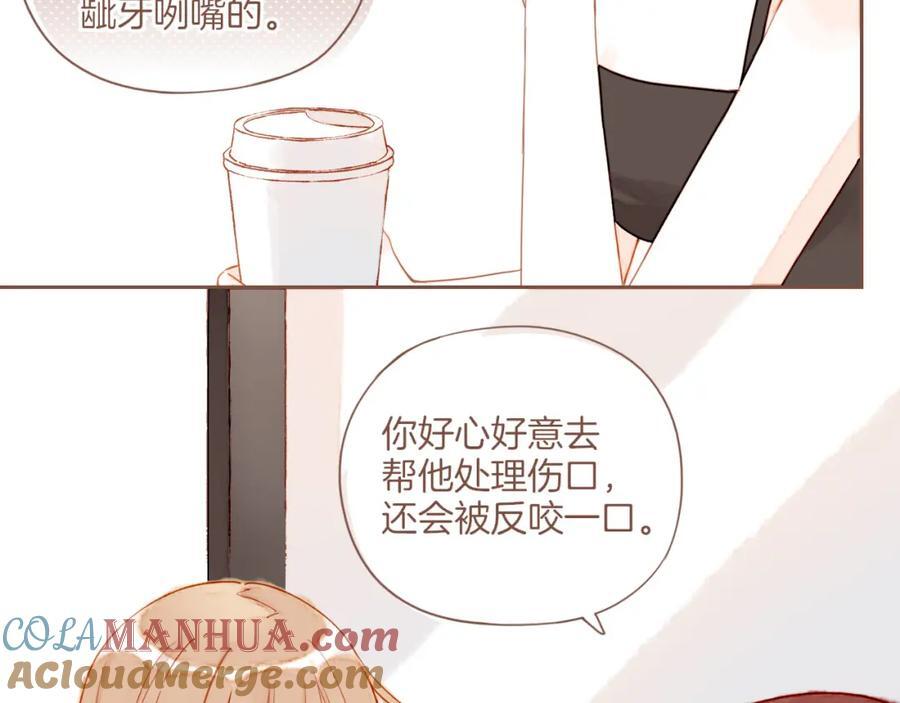 第29话 女孩、侦探、流浪狗（下）42
