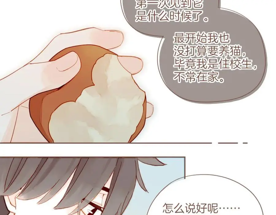 第34话 受伤的话，会很疼吧？（上）61
