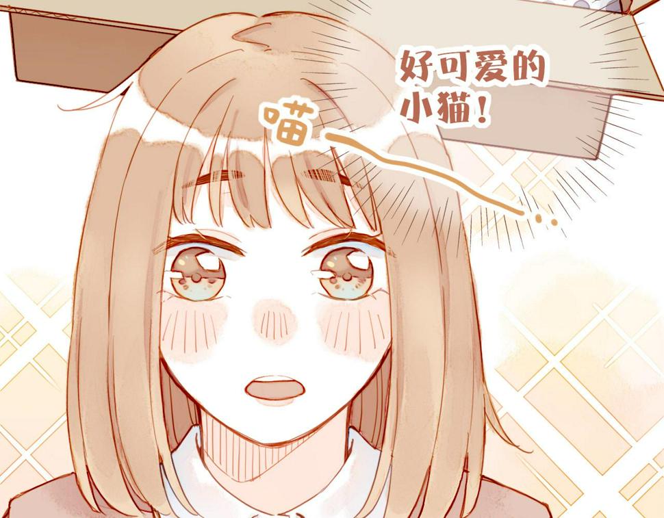 第12话 装在盒子里的是秘密（上）15