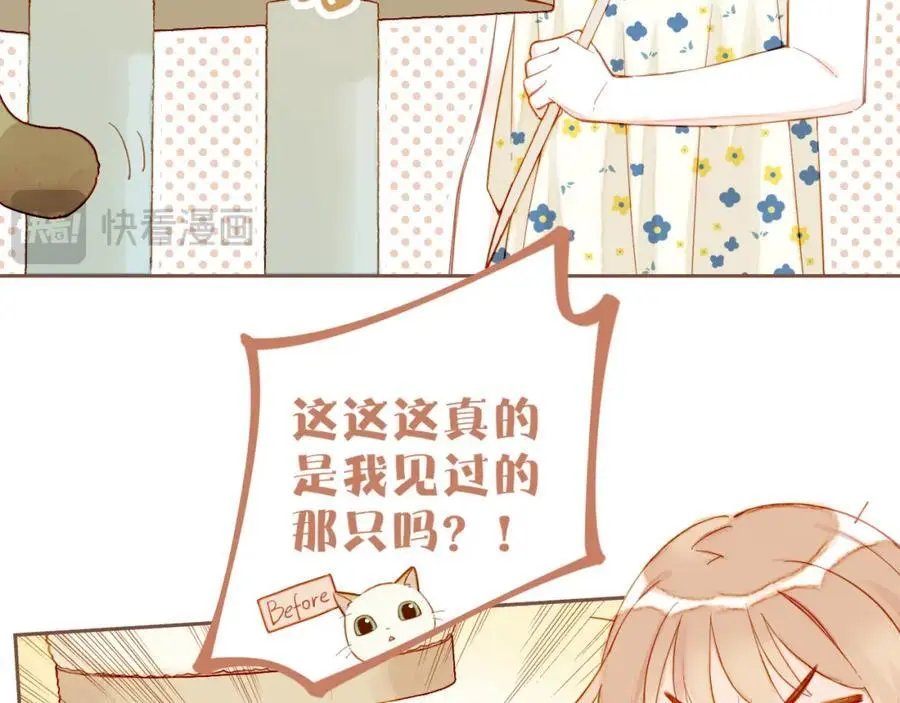 第34话 受伤的话，会很疼吧？（上）44