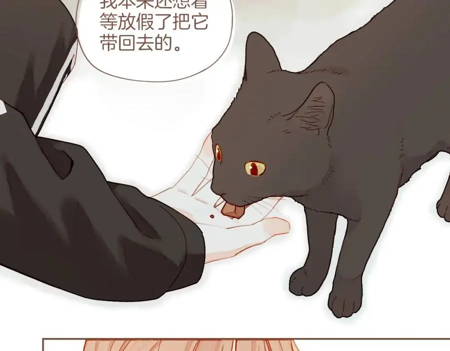 第31话 那就作为朋友……（下）53