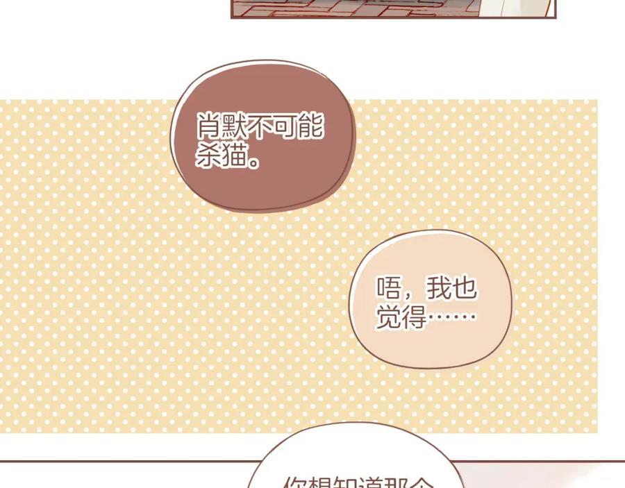 第29话 女孩、侦探、流浪狗（下）22