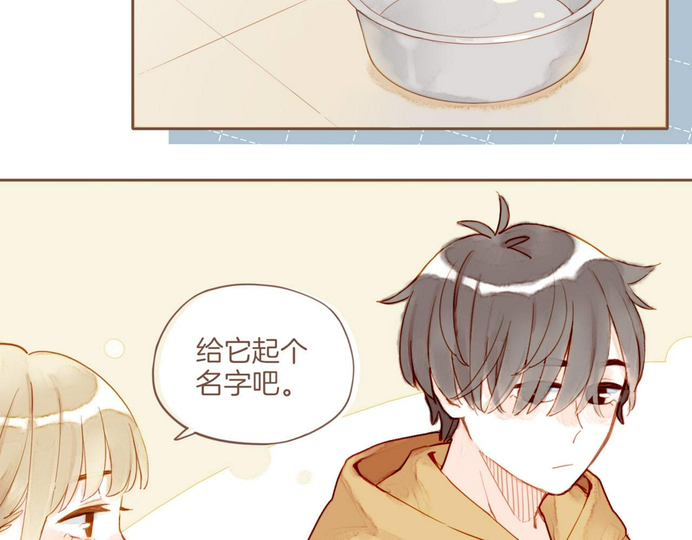第13话 装在盒子里的是秘密（下）55