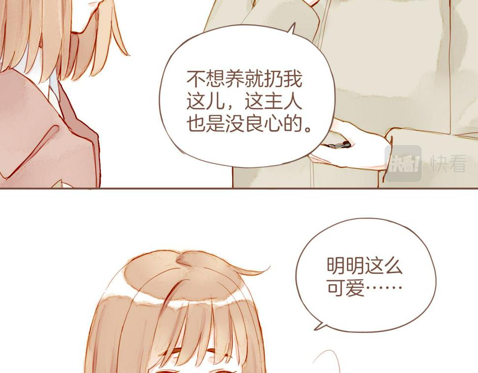 第12话 装在盒子里的是秘密（上）18