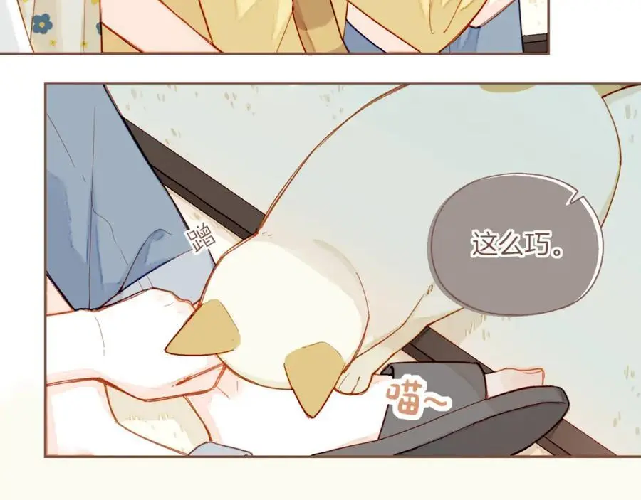 第35话 受伤的话，会很疼吧？（下）5