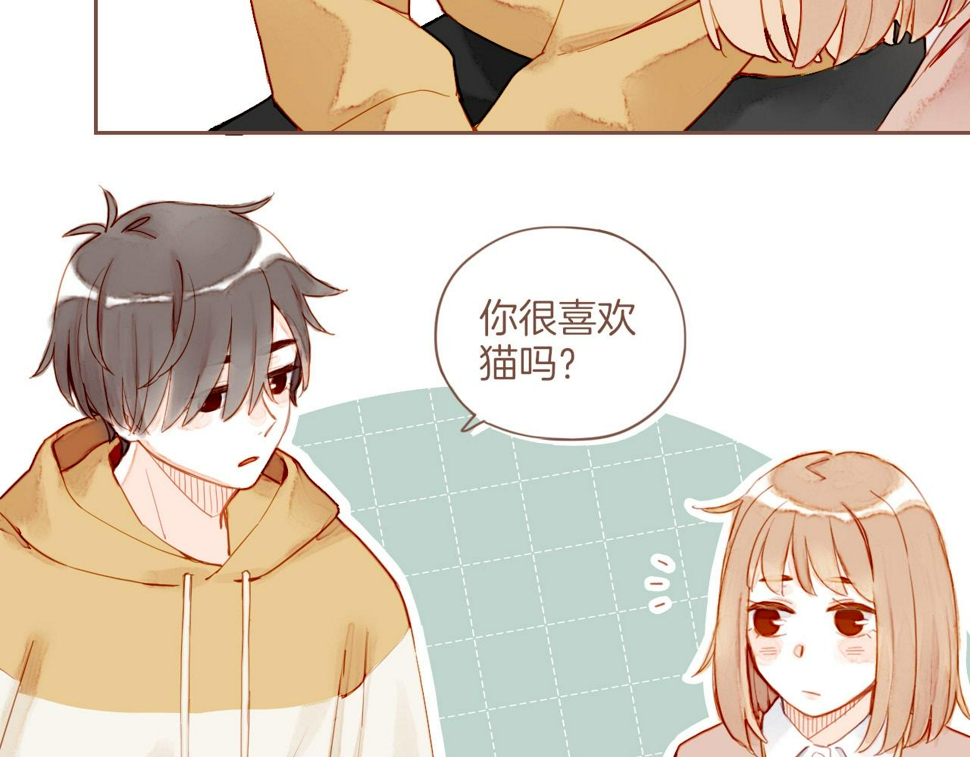 第13话 装在盒子里的是秘密（下）65