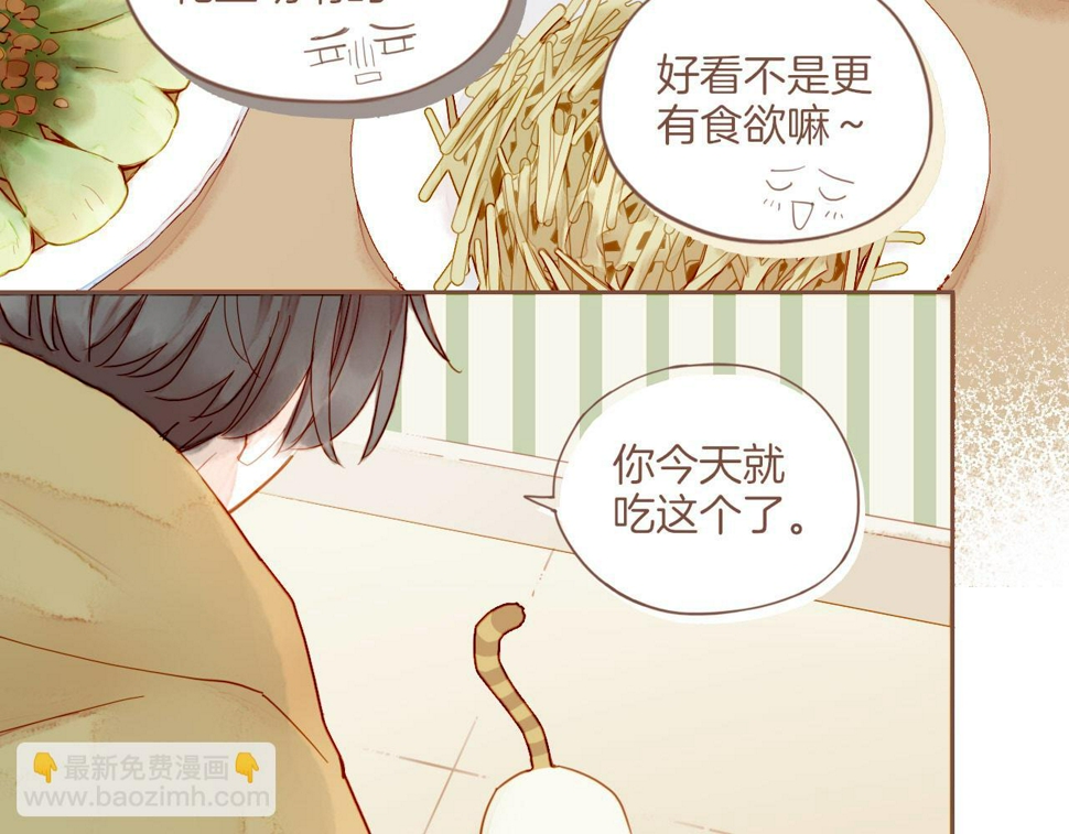 第13话 装在盒子里的是秘密（下）34