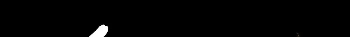 第56话 庆生遇刺15