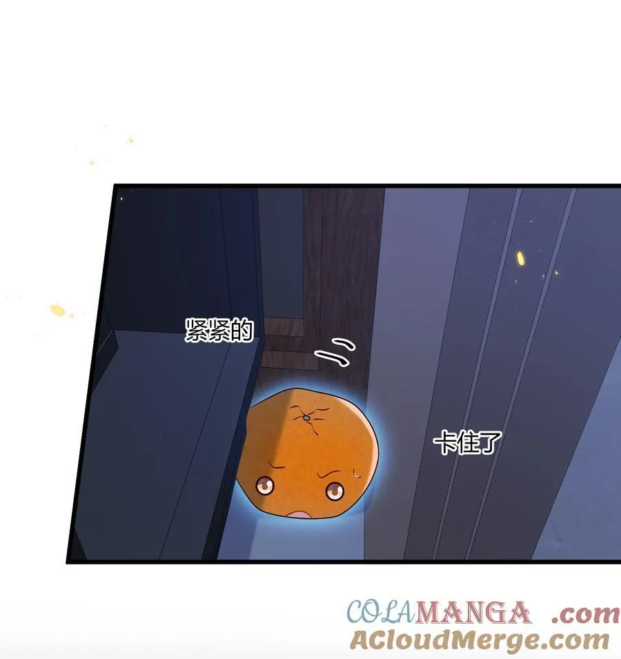 051 小兔子乖乖，把门开开36
