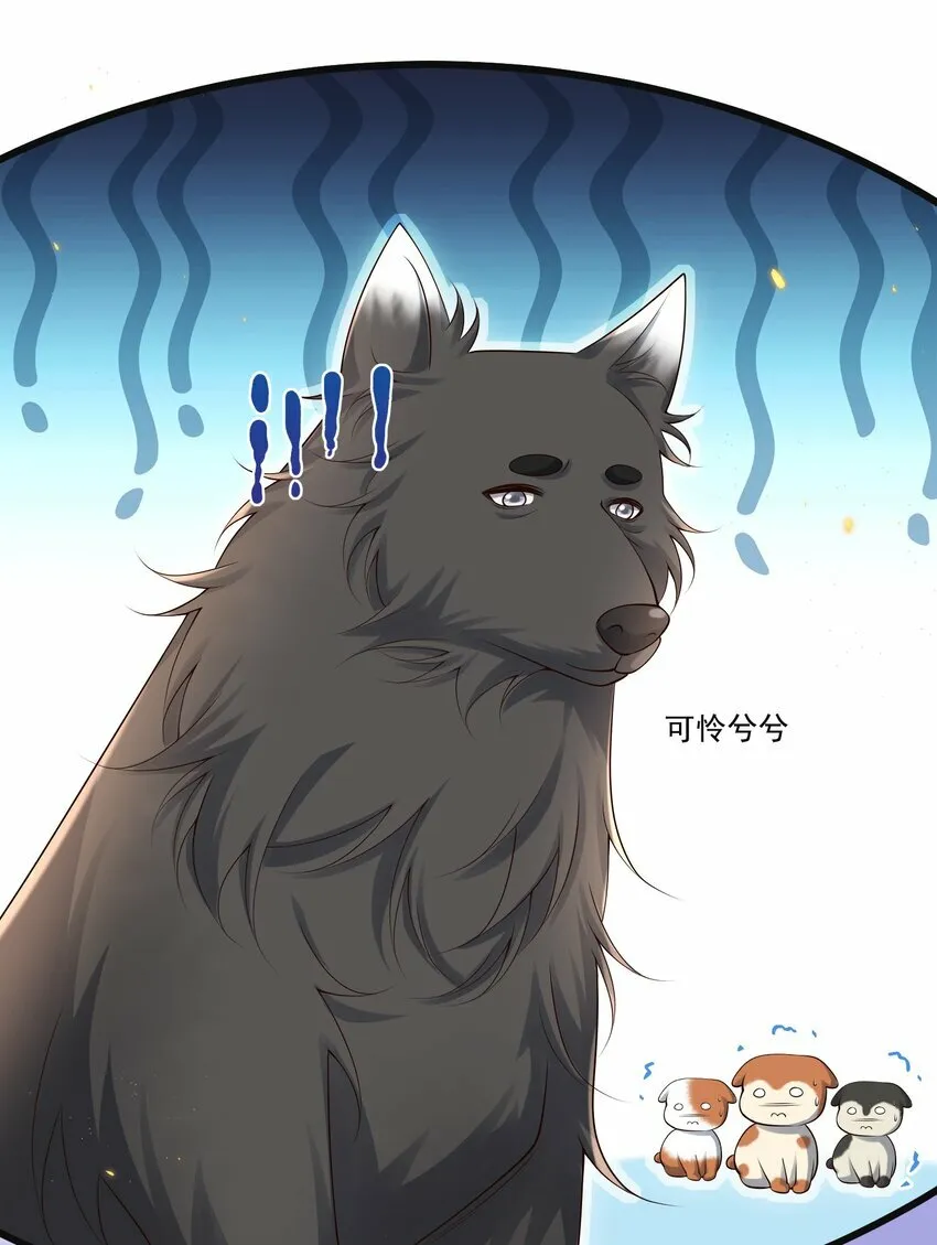 009 可怜大狗狗？18