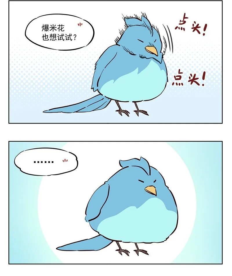 青鸾 一只肥鸟1