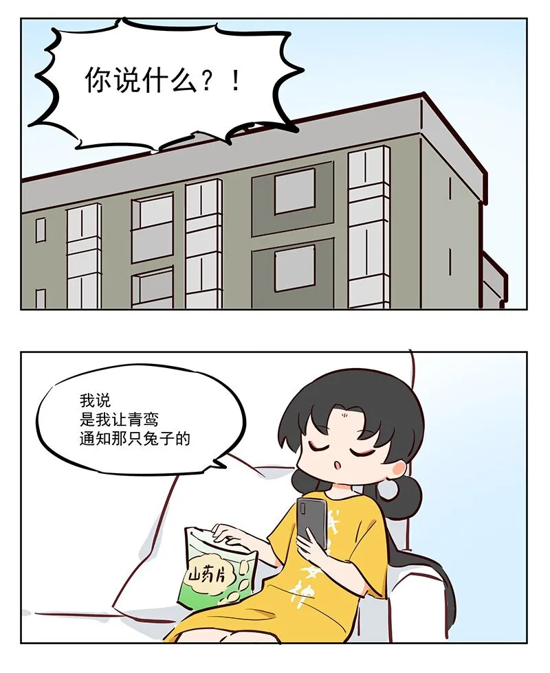 三足乌 你见过这样的快递吗5