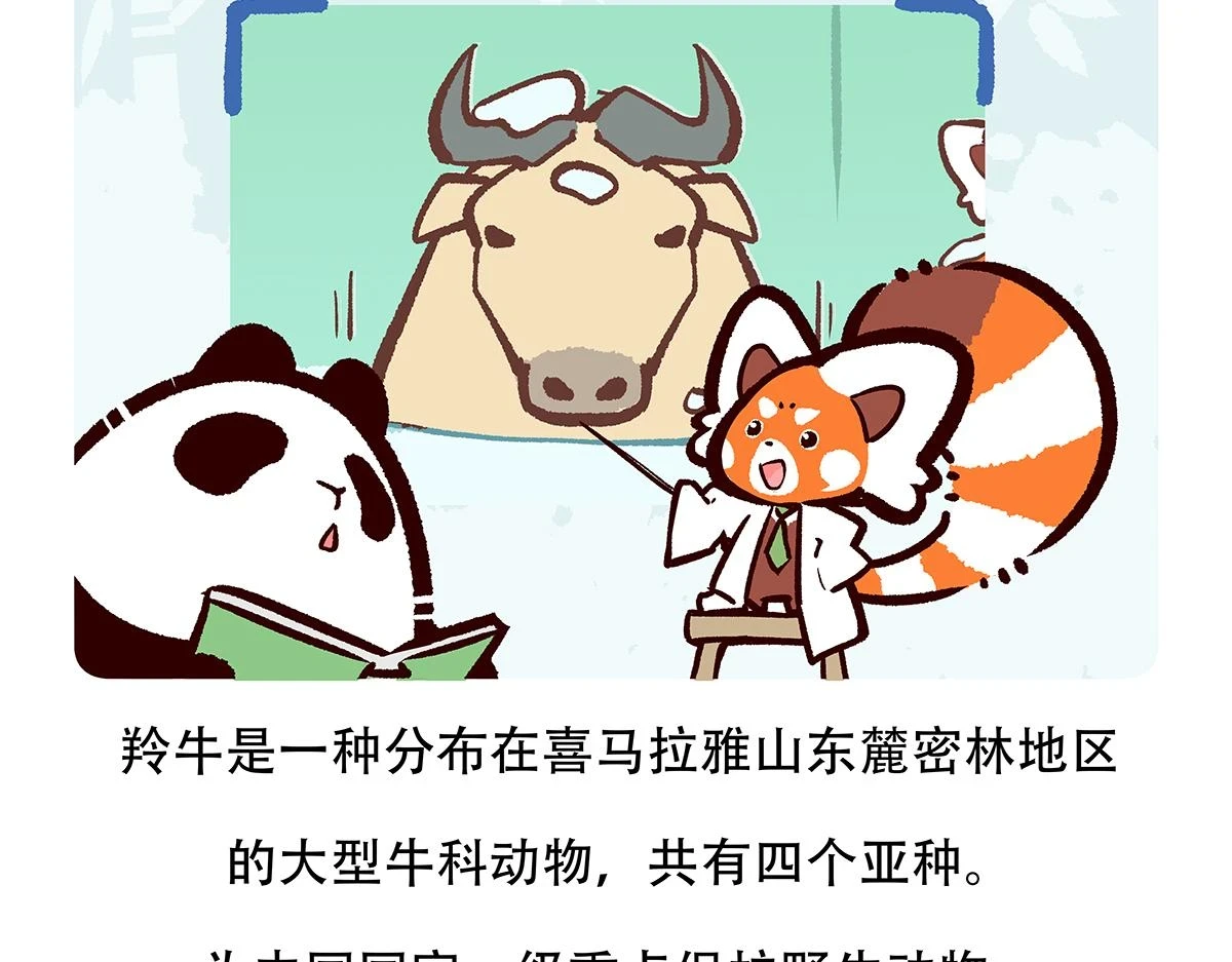 第144话19