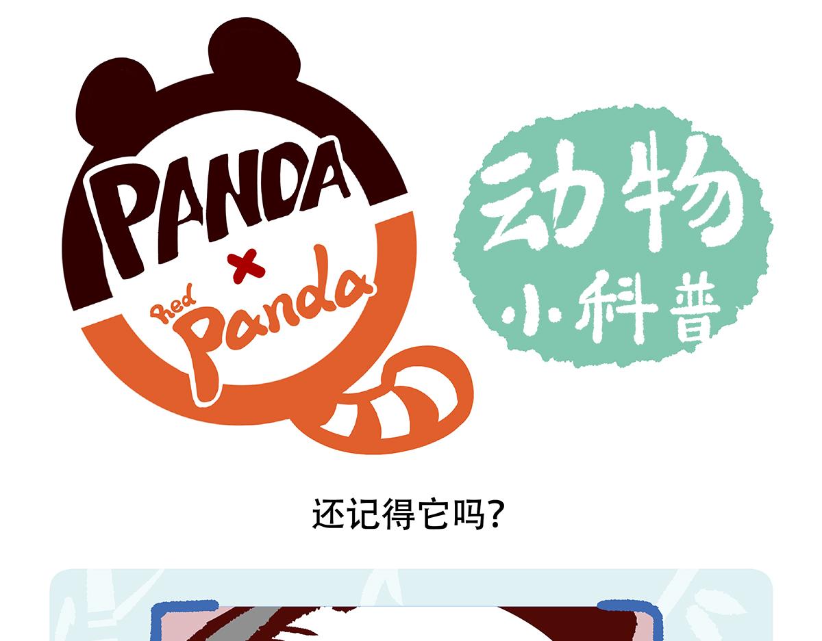 第117话24