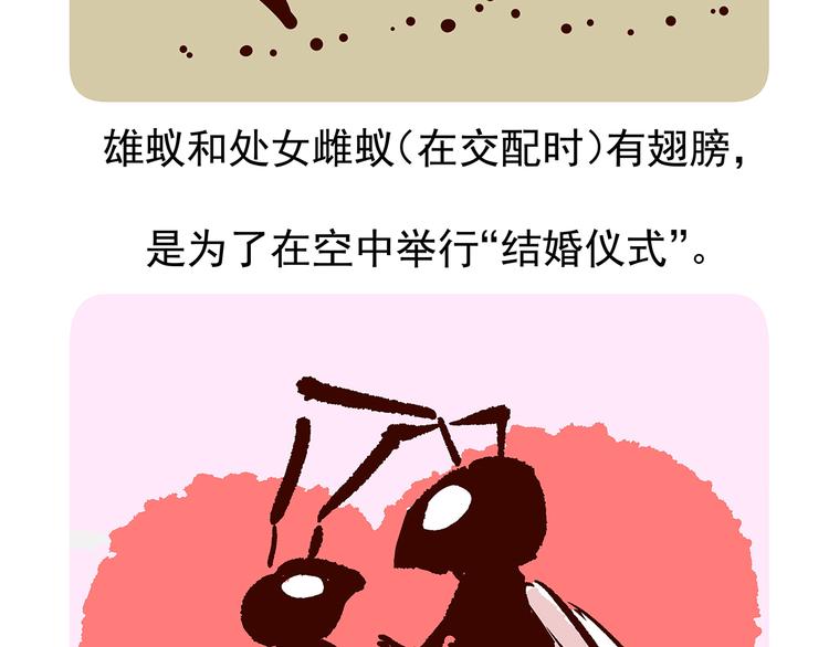 第11话20
