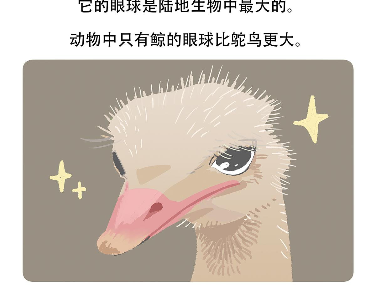 第103话27