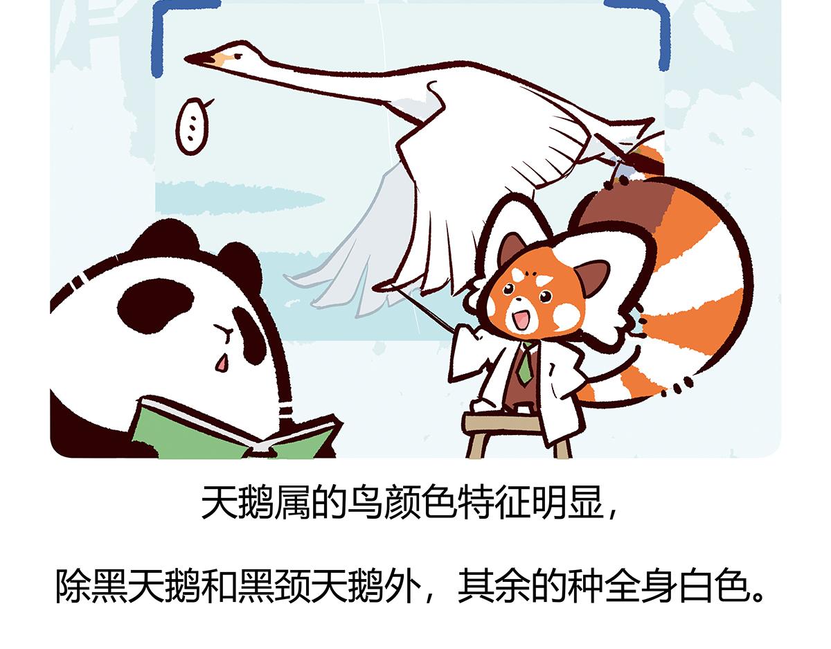 第114话25