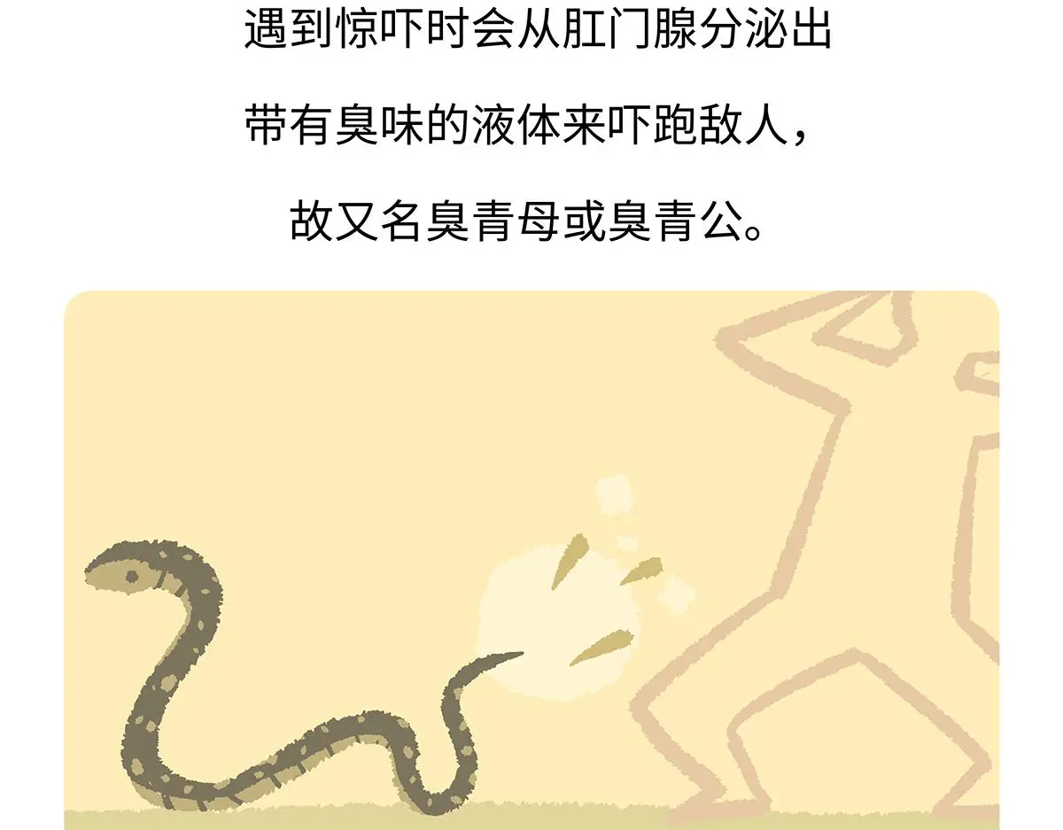 第164话27