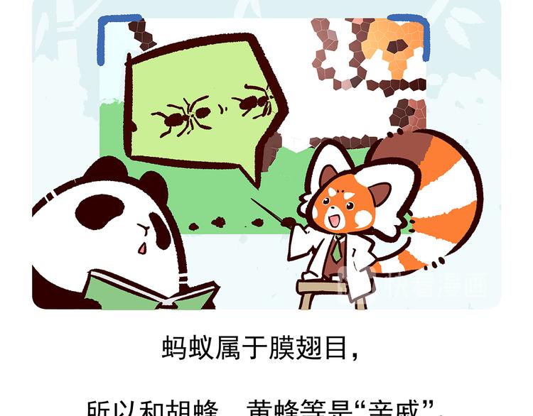 第11话25