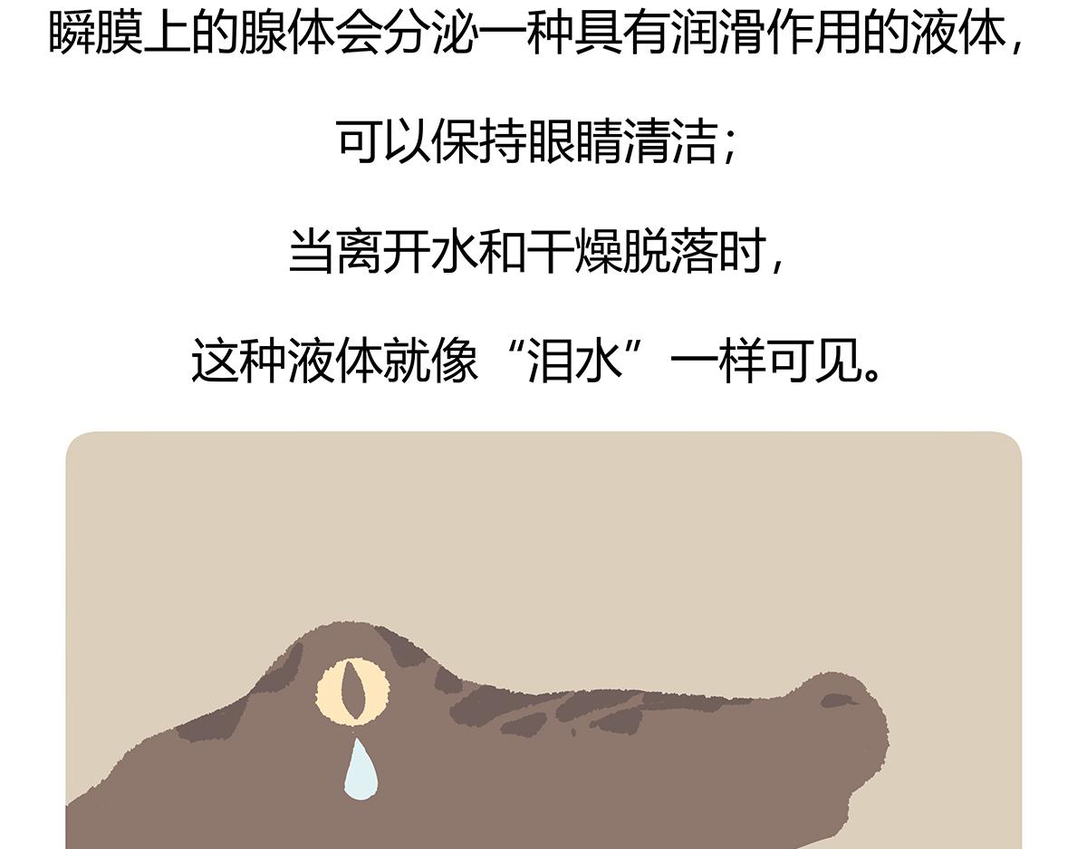 第113话26