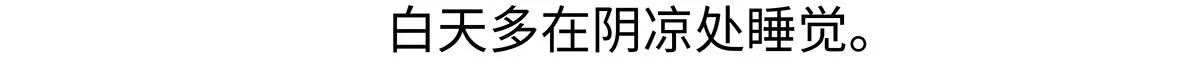 第195话27