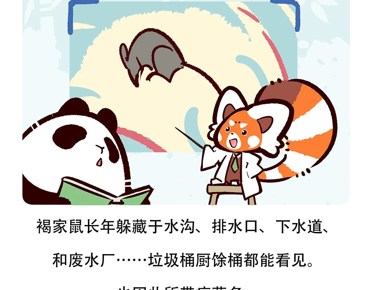 第154话26