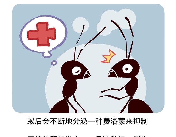 第36话31