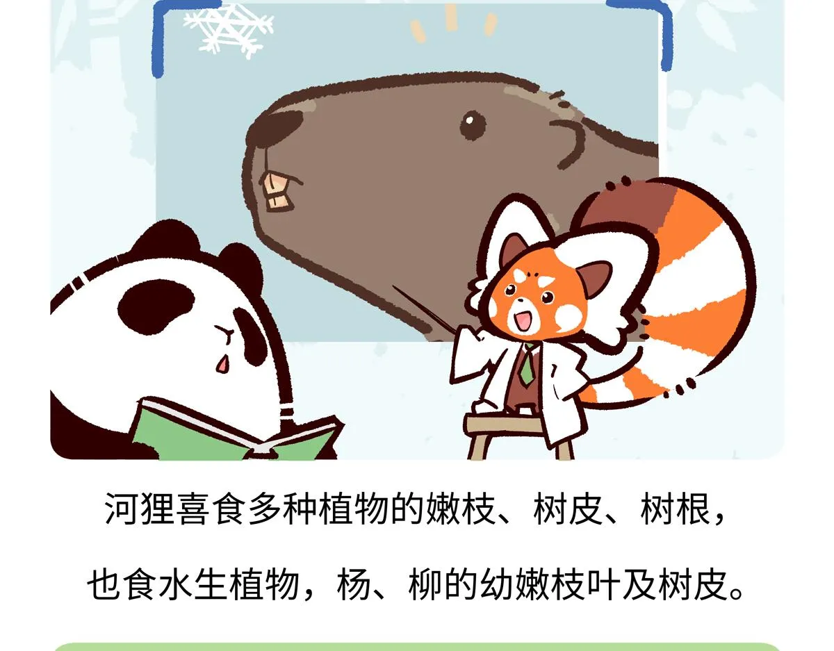 第211话17