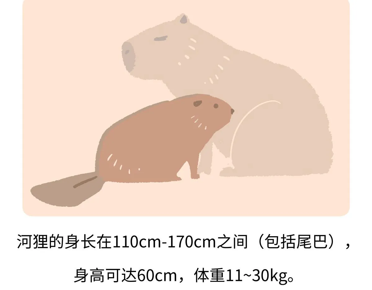 第211话25