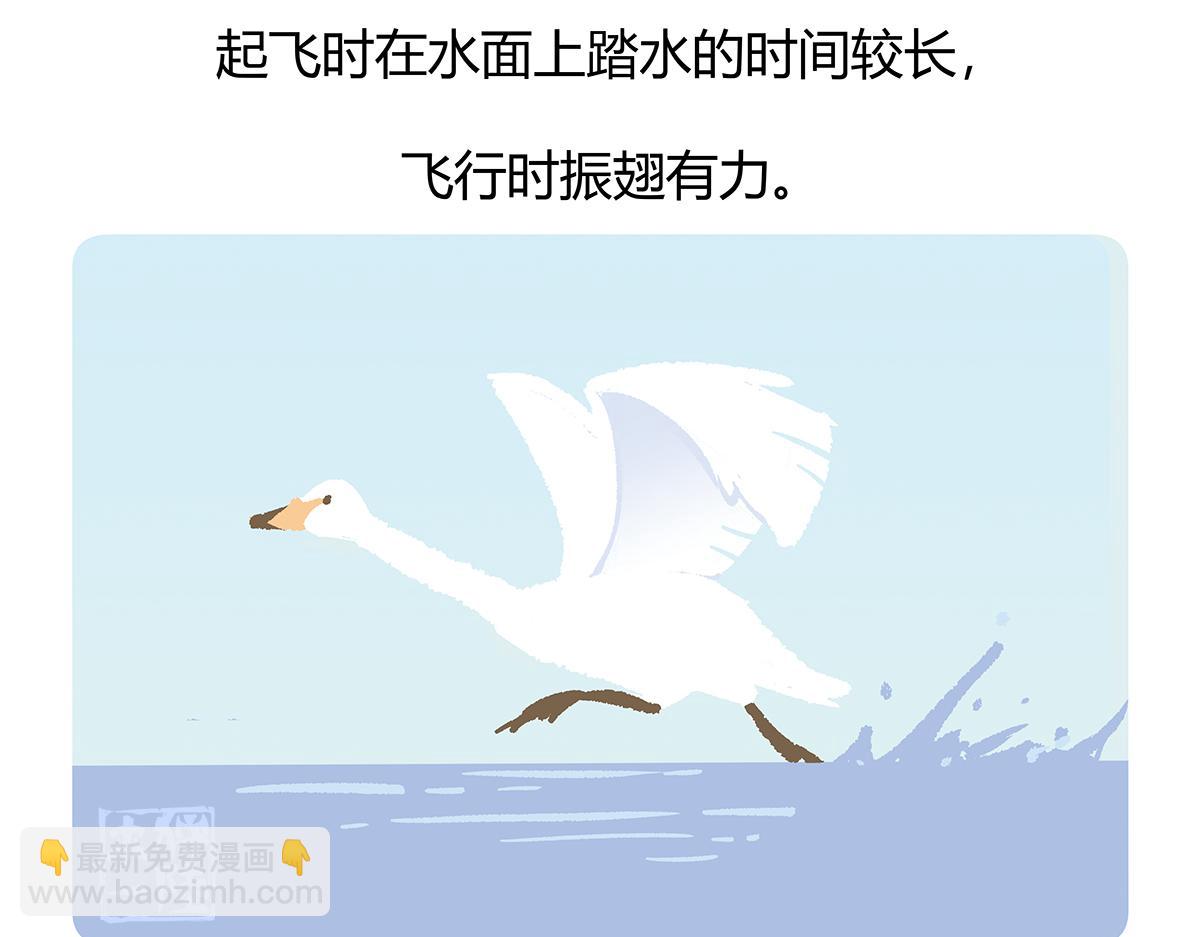 第114话27