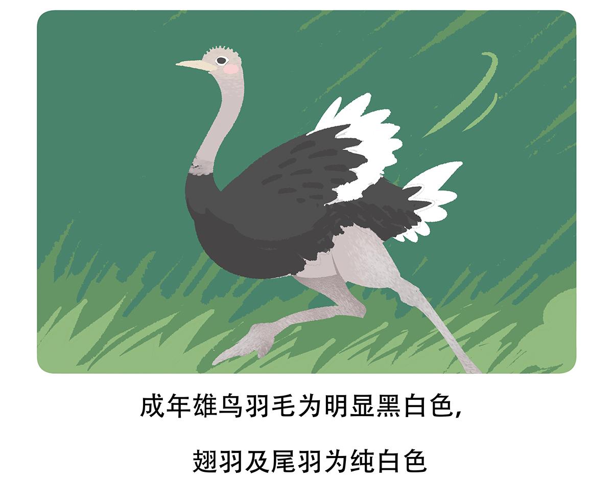第103话22