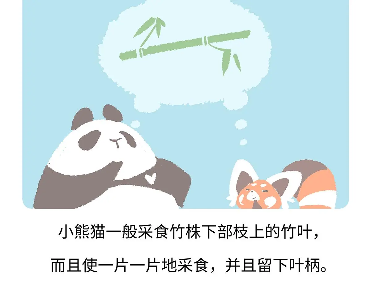 第184话17