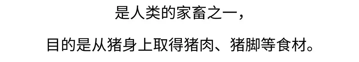 第174话18
