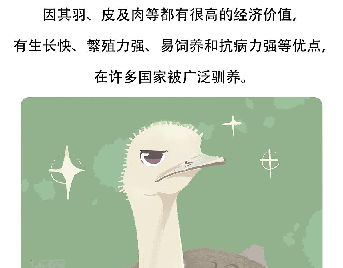 第102话22